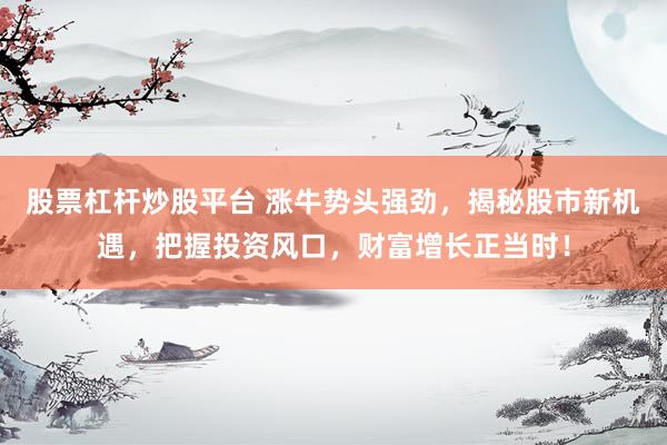 股票杠杆炒股平台 涨牛势头强劲，揭秘股市新机遇，把握投资风口，财富增长正当时！