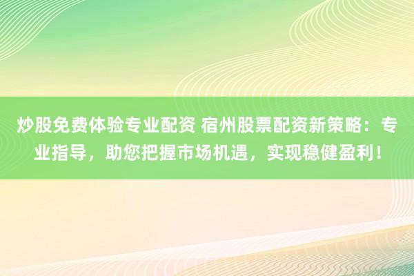 炒股免费体验专业配资 宿州股票配资新策略：专业指导，助您把握市场机遇，实现稳健盈利！
