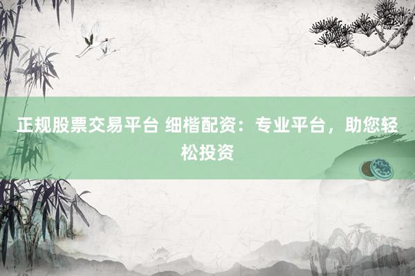 正规股票交易平台 细楷配资：专业平台，助您轻松投资