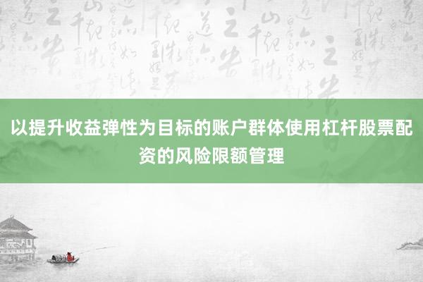 以提升收益弹性为目标的账户群体使用杠杆股票配资的风险限额管理