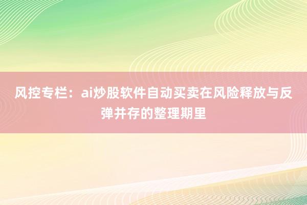 风控专栏：ai炒股软件自动买卖在风险释放与反弹并存的整理期里
