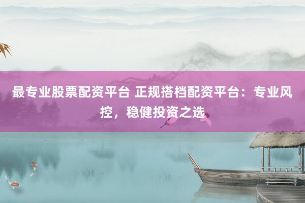 最专业股票配资平台 正规搭档配资平台:专业风控,稳健投资之选